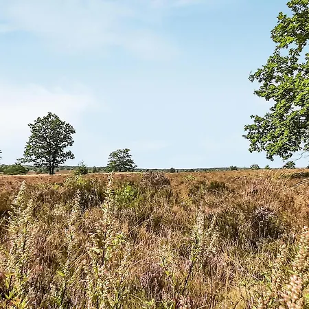 Dom wakacyjny In With Wifi Schneverdingen