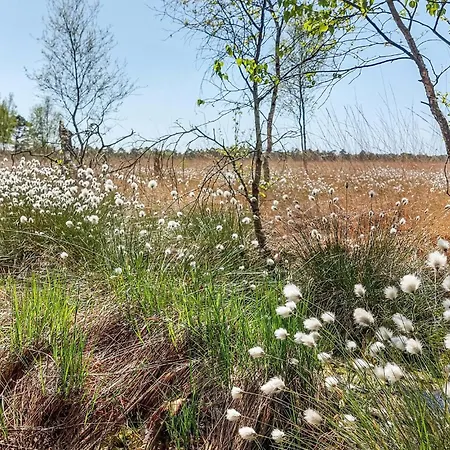 In With Wifi Dom wakacyjny Schneverdingen